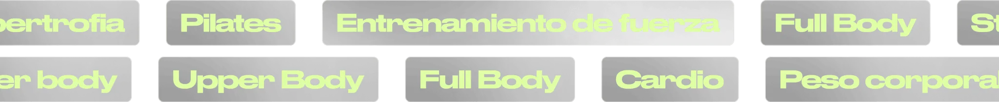 Tipos de entrenamiento BIGG
